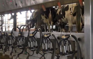 【cip清洗系統(tǒng)fcs10au食品廠全自動泡沫清洗機】- 